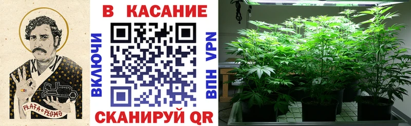 Наркотические вещества Абакан Марихуана  Гашиш 