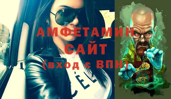 мет Алексин
