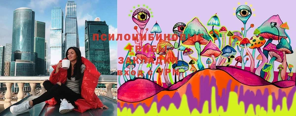 ешки Алексеевка