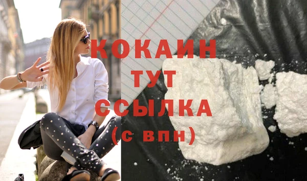 spice Новозыбков