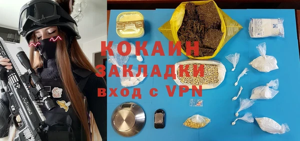 мет Алексин