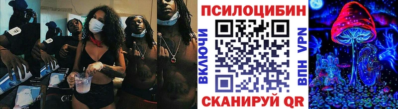 Галлюциногенные грибы прущие грибы Абакан