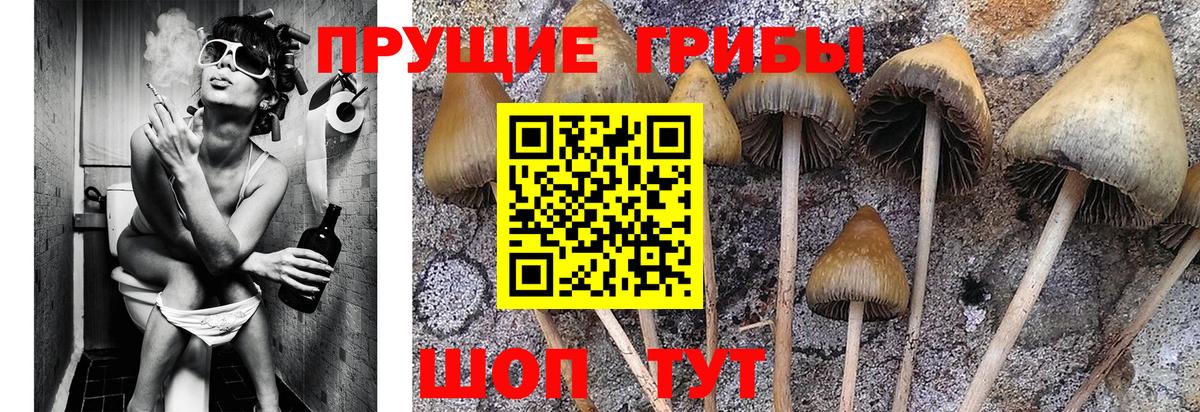 Галлюциногенные грибы MAGIC MUSHROOMS Абакан