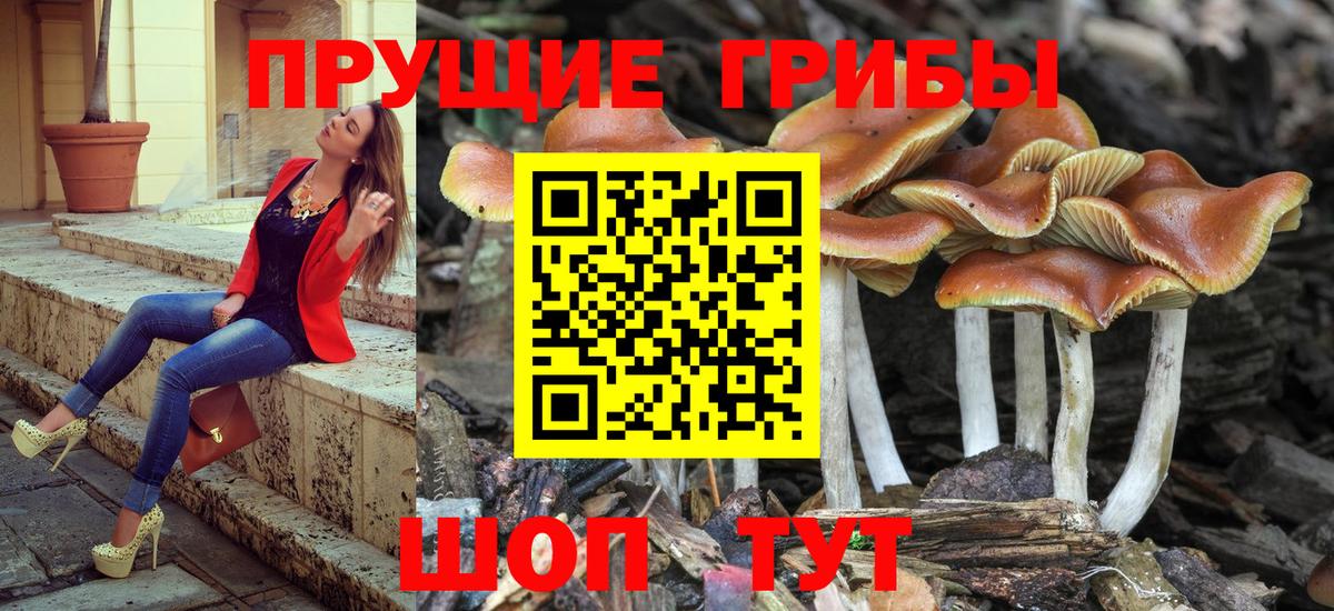 Абакан  Галлюциногенные грибы прущие грибы  Вход с VPN  Псилоцибиновые грибы Magic Shrooms 