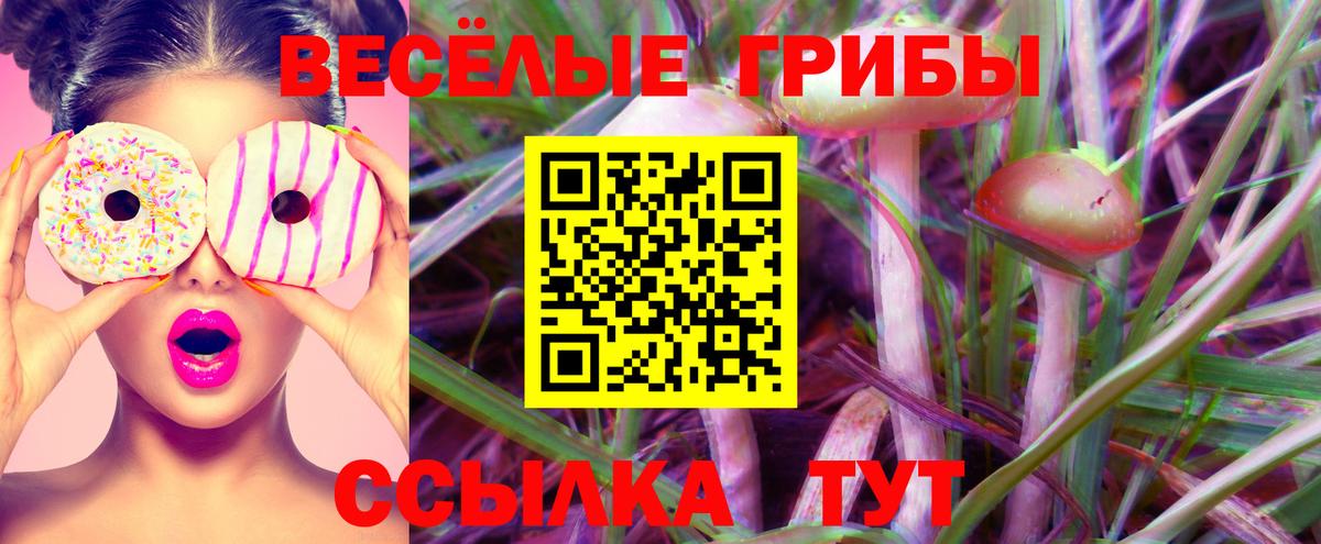 Галлюциногенные грибы Magic Shrooms Абакан