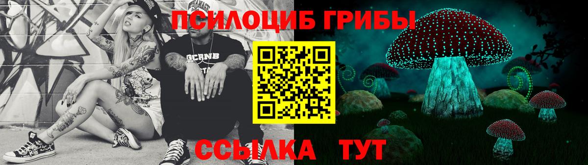 Псилоцибиновые грибы мицелий  Вход с VPN  Абакан 